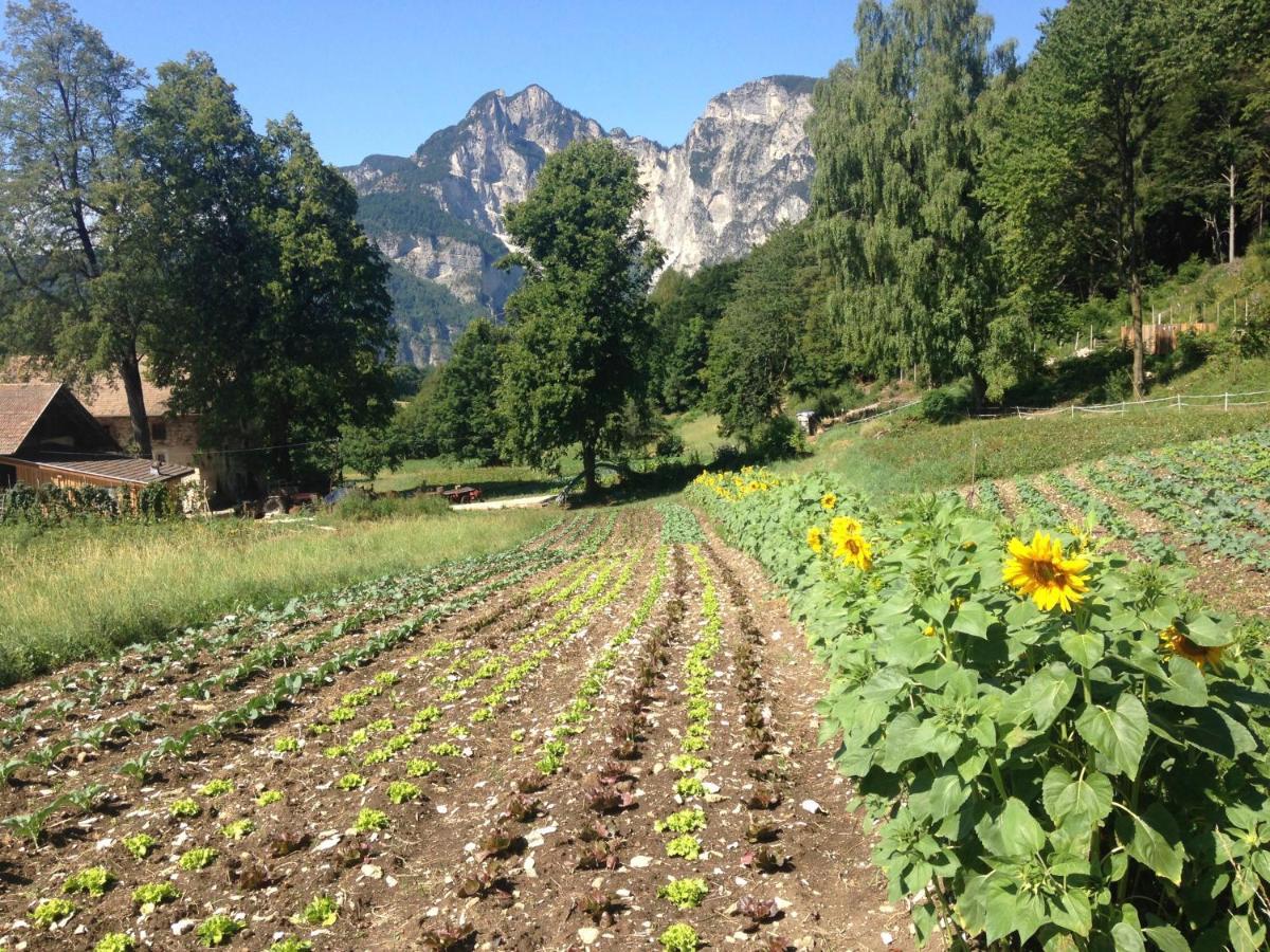 شقة Bauernhof Hof Unternberg Magre all' Adige المظهر الخارجي الصورة